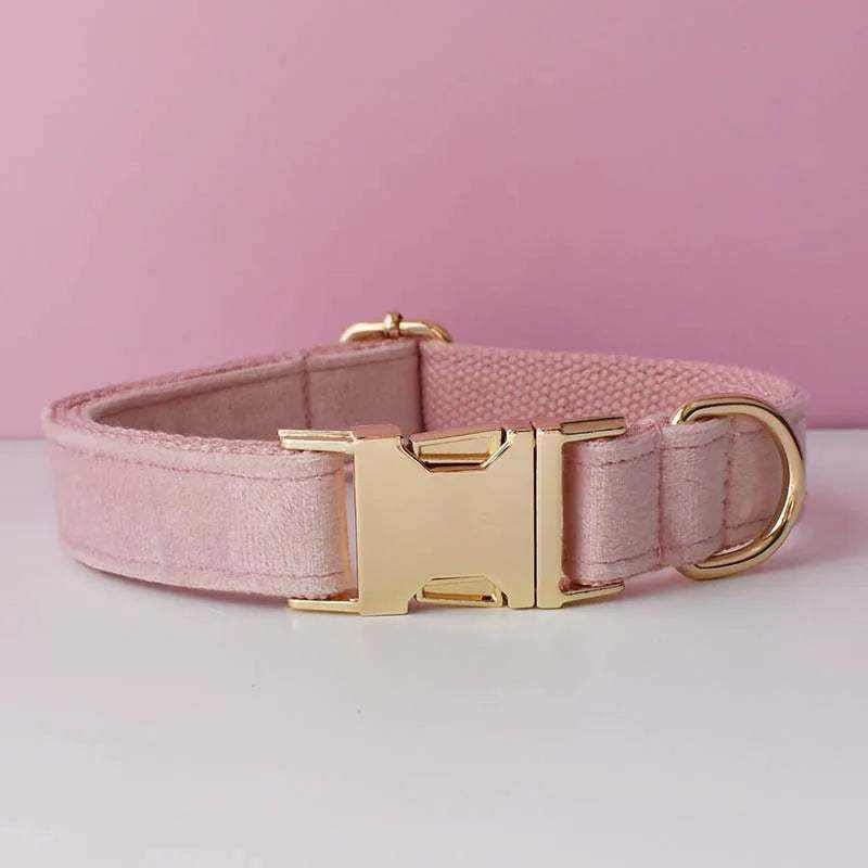 Collier en velours rose avec fermeture dorée pour chien moyen à grand, personnalisable avec gravure gratuite, design élégant et confortable.