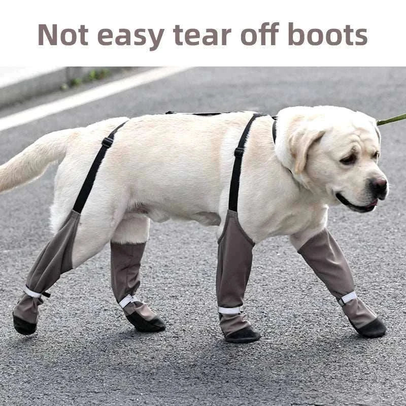 Bottes imperméables pour chiens | Protection, confort & style en promenade