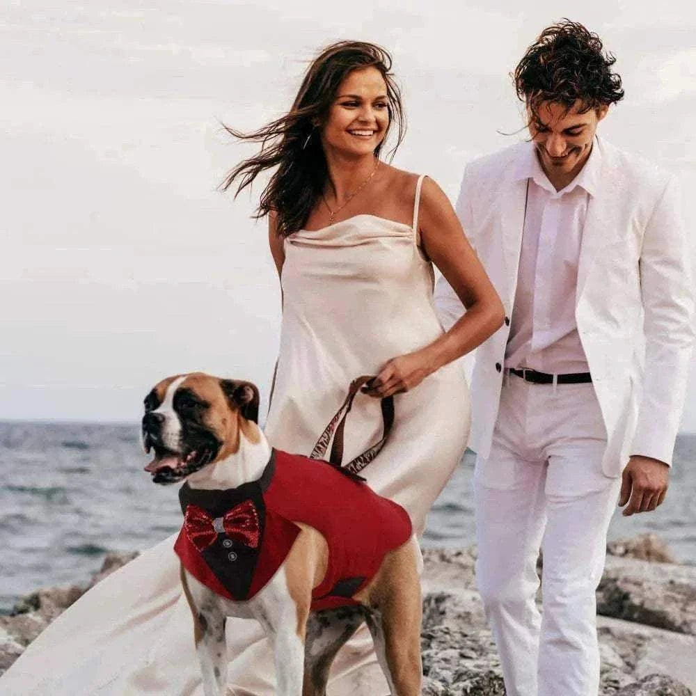 Chien portant un tuxedo rouge avec nœud papillon, accompagné d'un couple habillé pour un mariage en bord de mer.