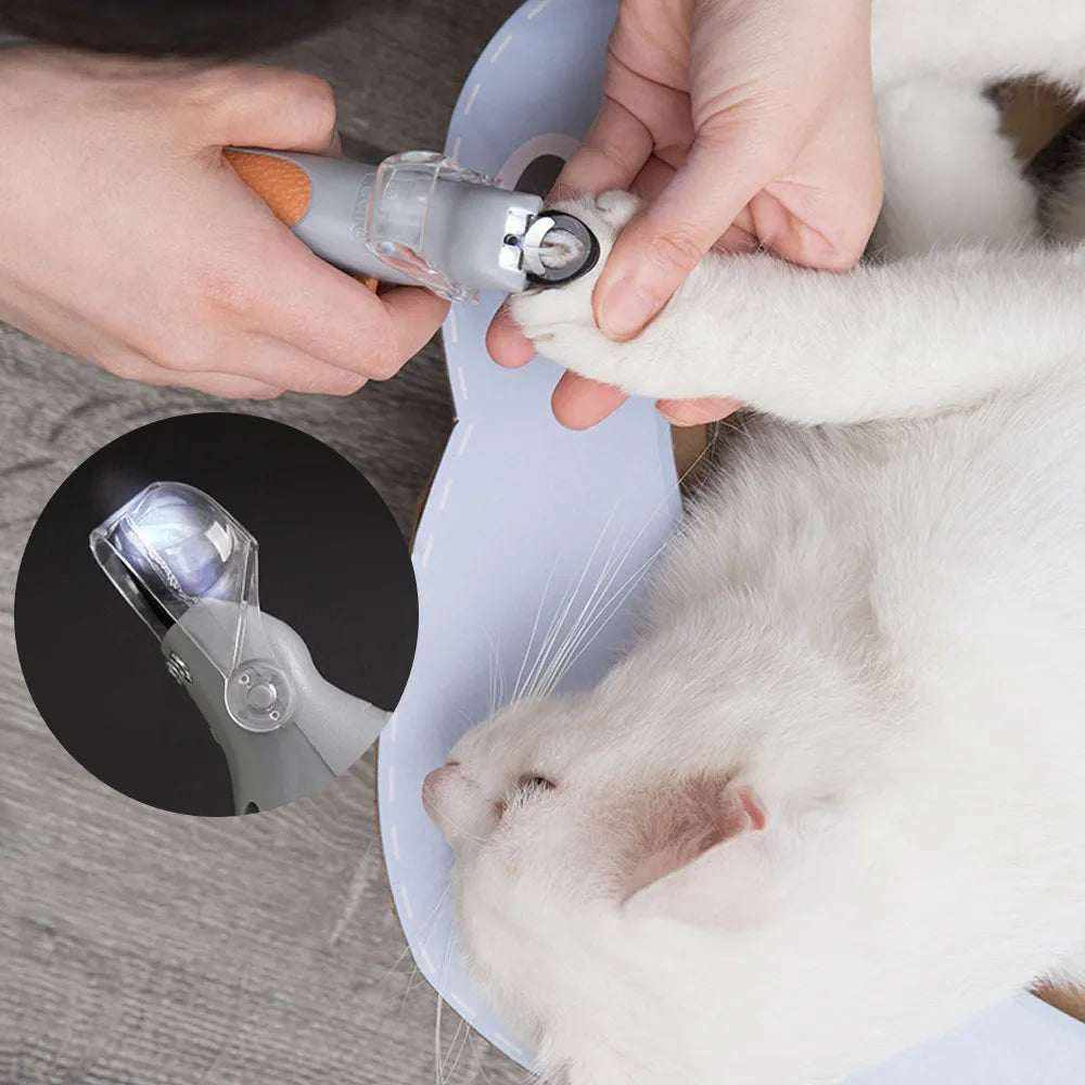 Coupe-Griffes LED pour Animaux | Instruction
