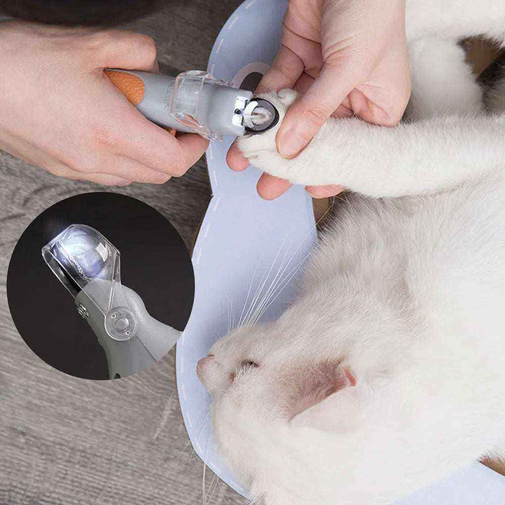 coupe-griffes LED pour animaux avec lumiÚre intégrée, lame en acier inoxydable, ergonomique, pour soins précis des griffes de chats et petits chiens