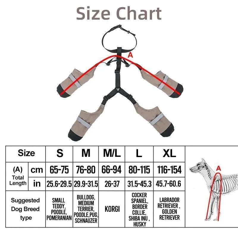 Bottes imperméables pour chiens | Protection, confort & style en promenade