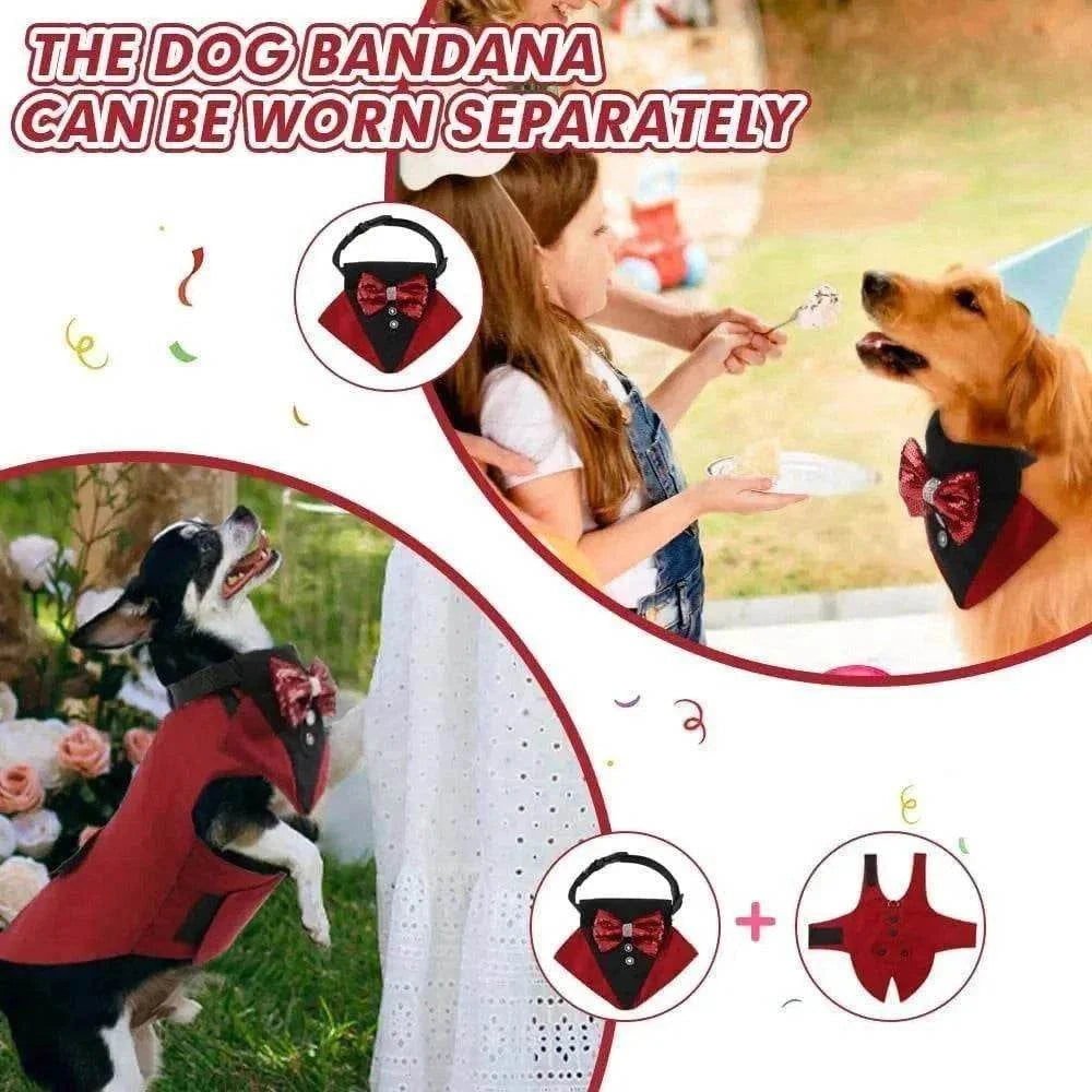 Chiens en costume tuxedo rouge avec nœud papillon détachable pour mariage et événements élégants
