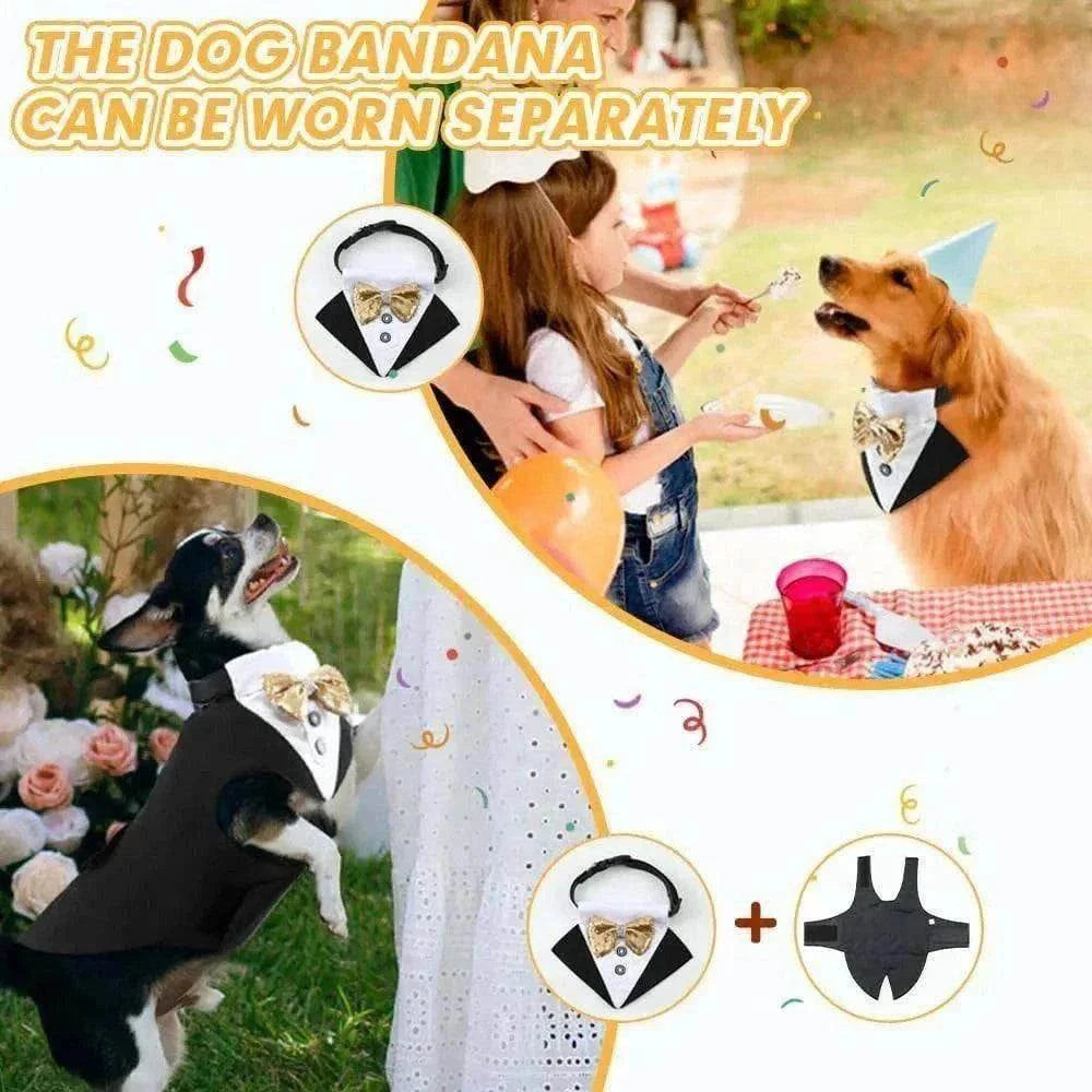 Tuxedo élégant pour grands chiens avec nœud papillon détachable, costume confortable et chic pour mariage et occasions spéciales.