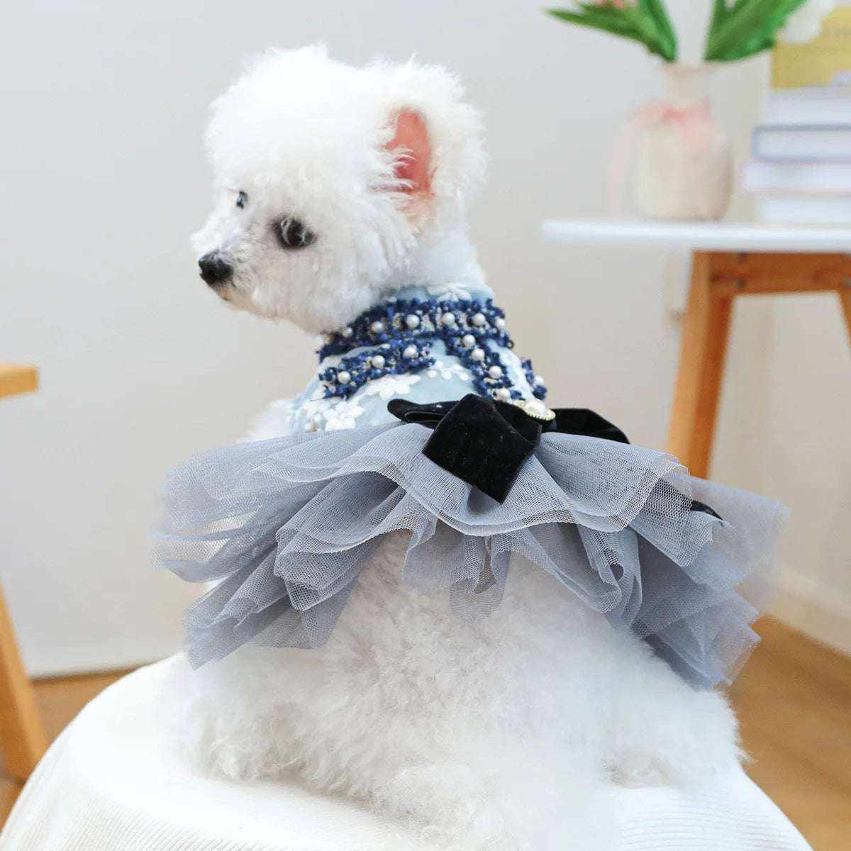 Petit chien blanc portant une robe de luxe en tulle bleu avec détails floraux et nœud noir, élégant et confortable pour petites races.