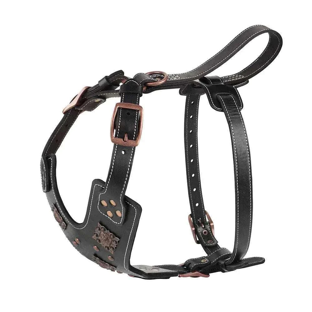 harnais en cuir véritable noir pour chiens moyens et grands avec sangles ajustables et bouclerie métallique robuste pour dressage et promenade