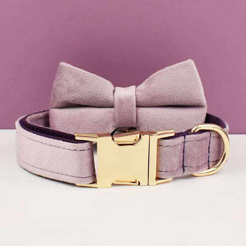 collier en velours violet avec nœud papillon et boucle dorée pour chien moyen ou grand, personnalisable avec gravure gratuite