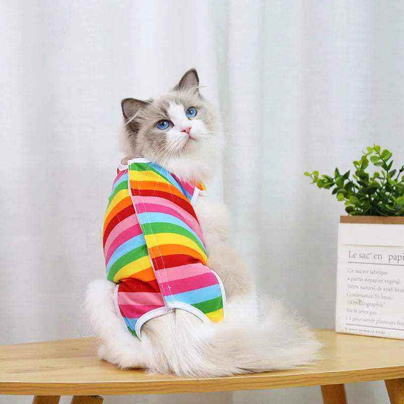 Chat portant une combinaison post-opératoire colorée pour stérilisation et sevrage, tissu léger et respirant, confort optimal et protection des plaies.