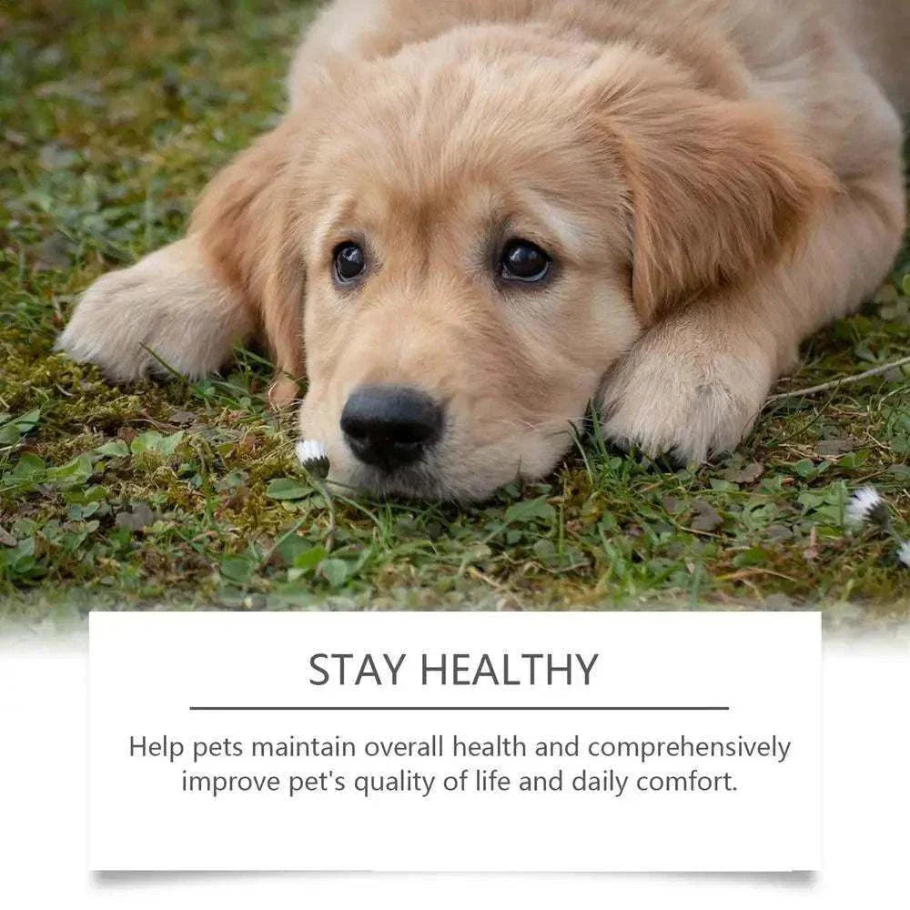 Nutritional Supplement for Dogs | Body Health Support, 30ml