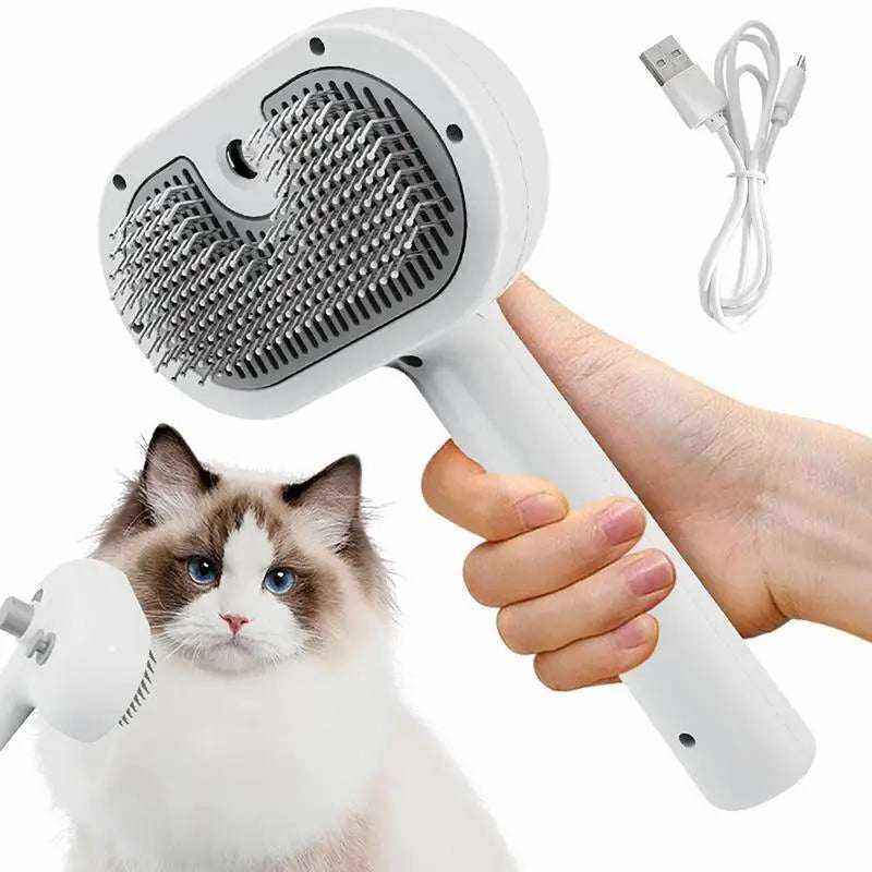 Brosse Nettoyante & Dépoilage avec Spray | Prise en main