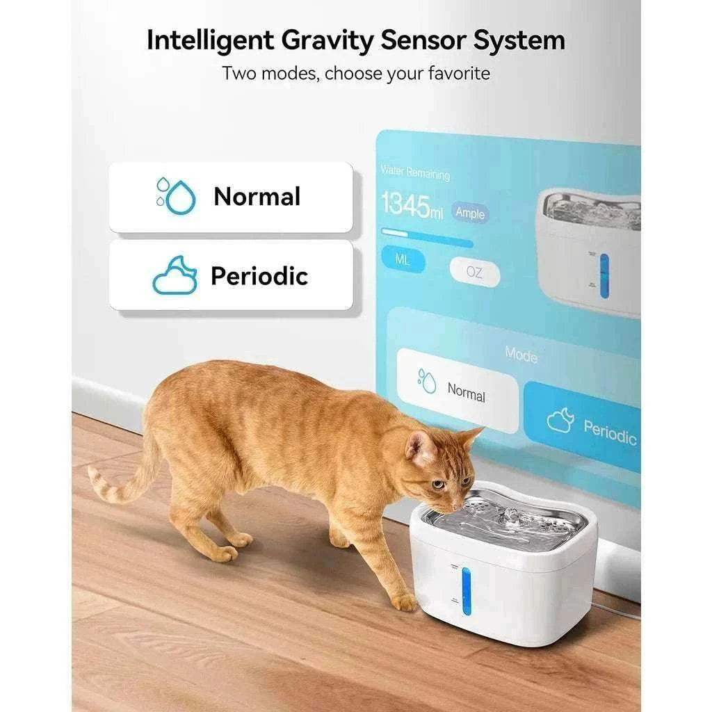 Chat buvant à la fontaine à eau connectée en inox, eau filtrée et fraîche grâce au capteur intelligent.