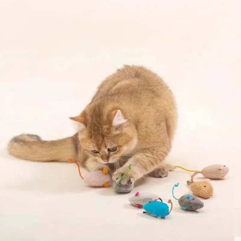 Lot de 3 Jouets Souris en Peluche pour Chats | Résistants et Interactifs