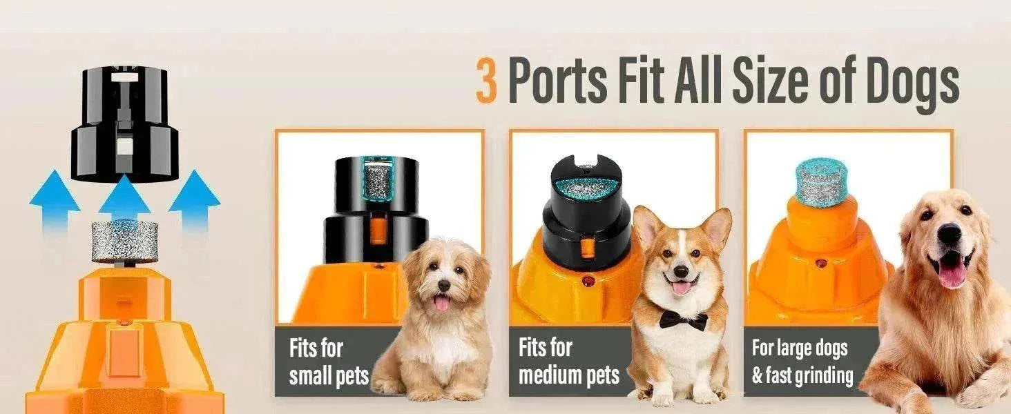 lime à ongles électrique pour chiens et chats avec 3 embouts adaptés toutes tailles, 6 vitesses, silencieuse et rechargeable USB