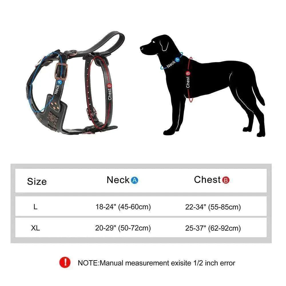 harnais en cuir véritable noir robuste et ajustable pour chiens moyens et grands avec accessoires métalliques pour dressage et promenade