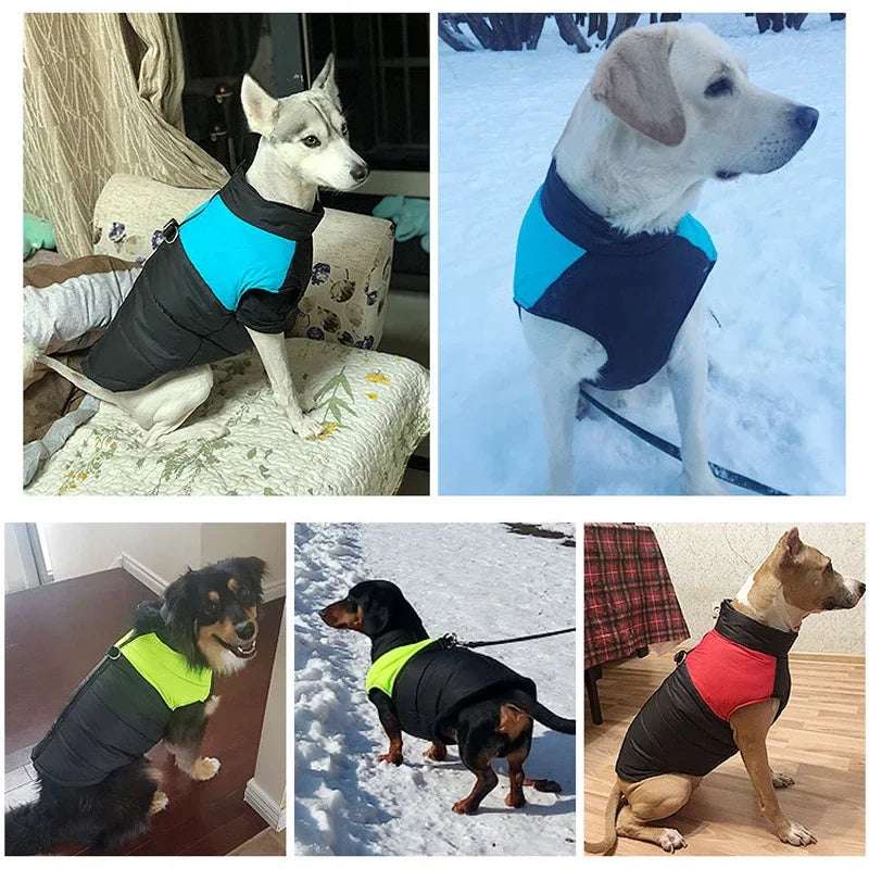 Manteau d’hiver imperméable pour chiens - Veste chaude S à 5XL