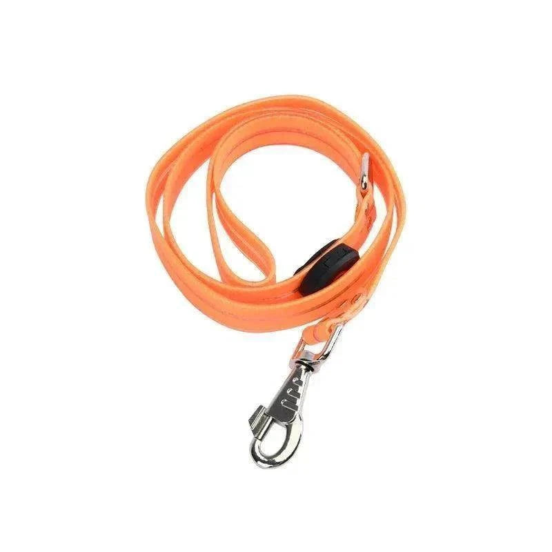 laisse LED orange pour chien, sécurité nocturne, imperméable et rechargeable par USB
