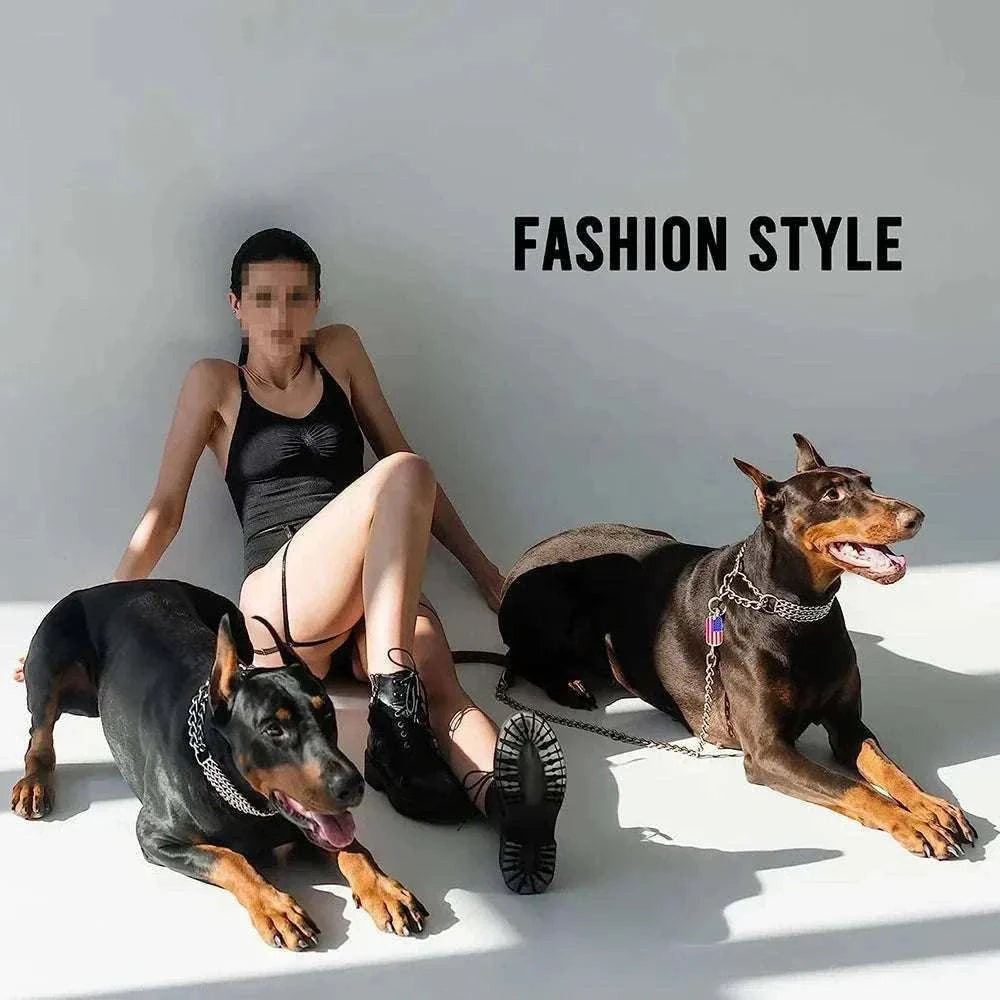 femme assise avec deux chiens Doberman portant un collier métal triple rangée robuste et élégant sur fond gris avec texte fashion style