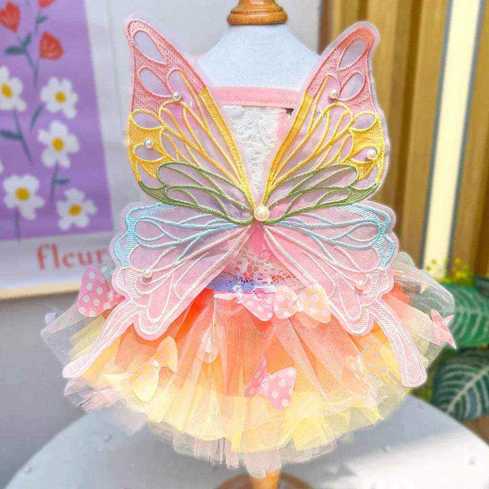 robe princesse printemps pour chien et chat avec jupe en dentelle couleur pastel et ailes de papillon brodées élégantes