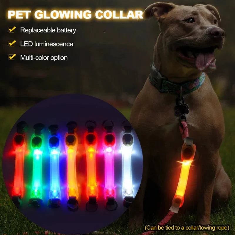Barra de luz LED para collar o correa de perro