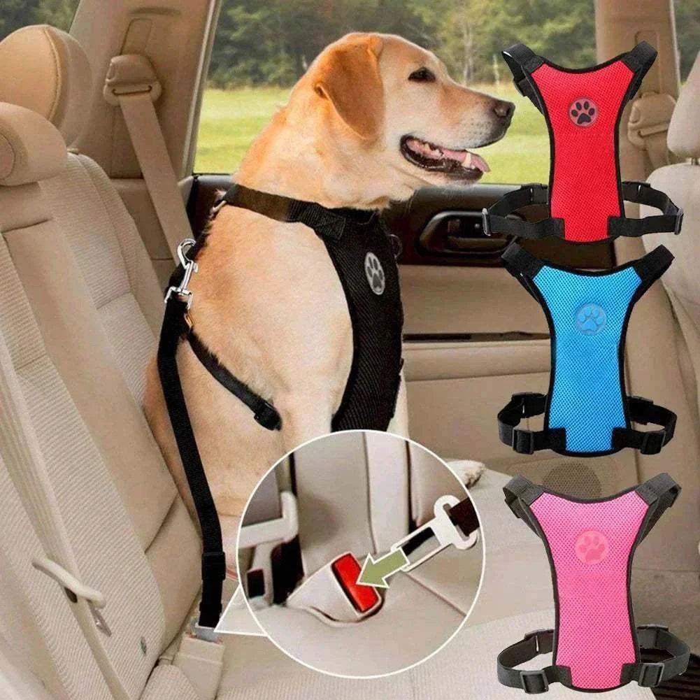 Dog wearing a black breathable safety harness in a car, with additional red and blue harnesses shown, emphasizing comfort and security.