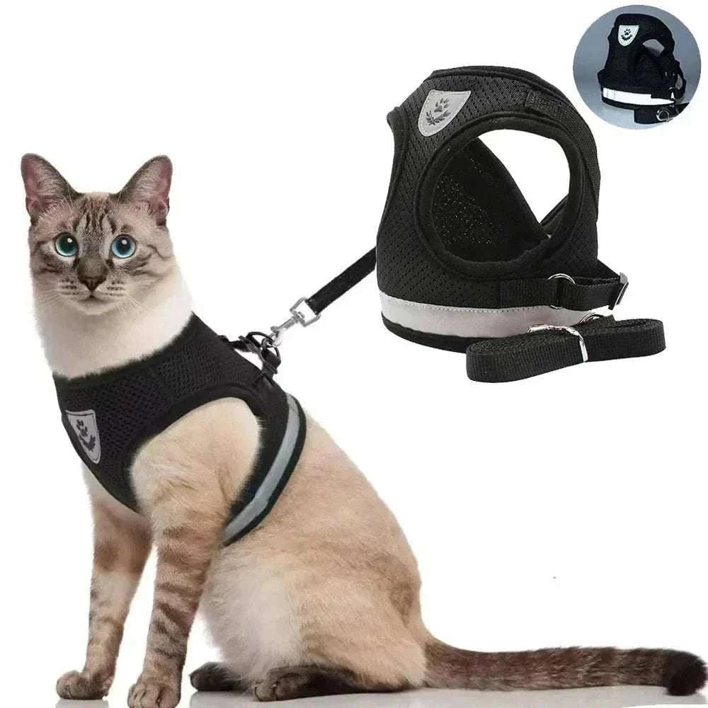 Adjustable reflective mesh harness with anti-escape leash and collar for cats and small dogs.