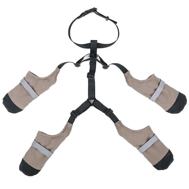 Bottes imperméables pour chiens | Protection, confort & style en promenade