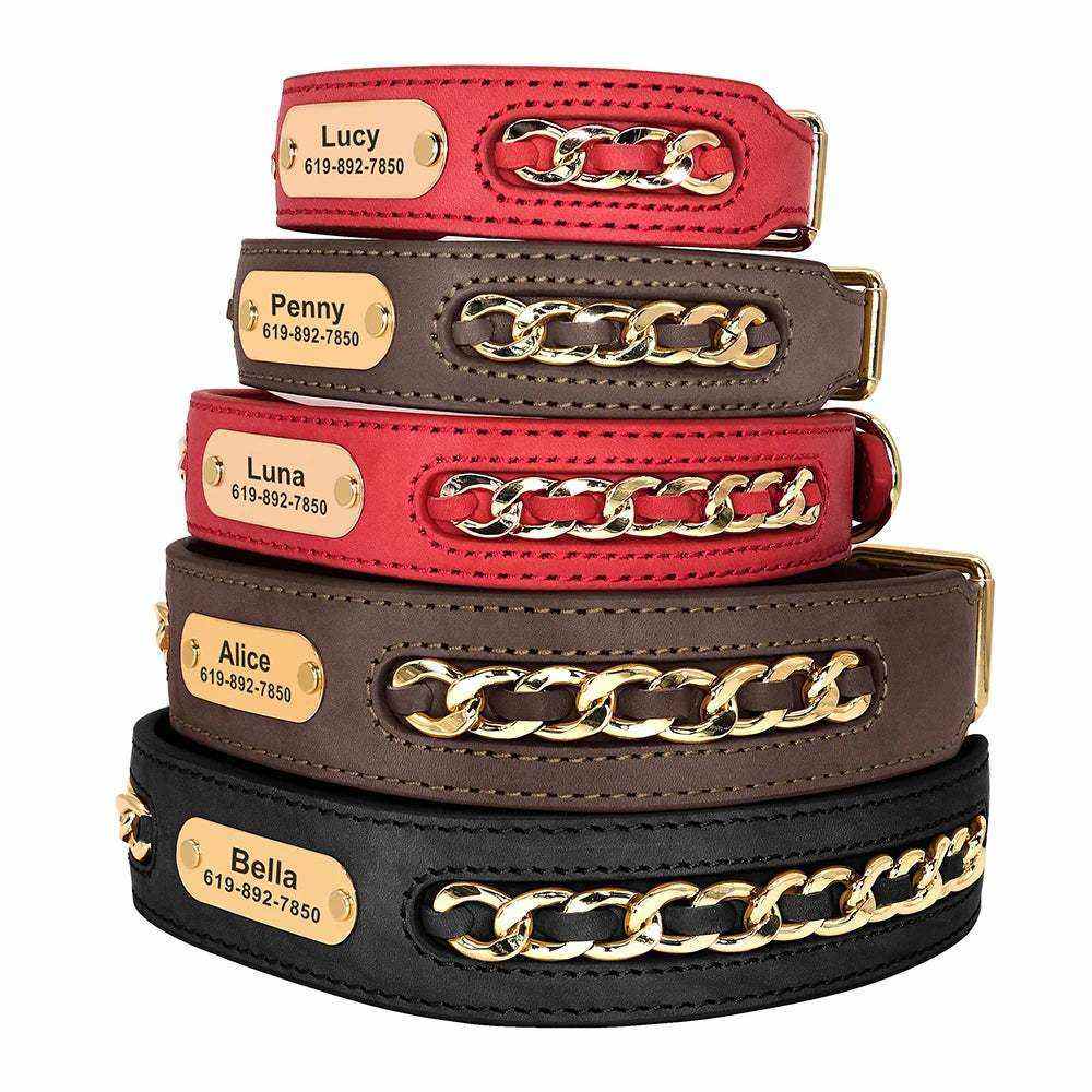 Colliers en cuir personnalisés pour chiens avec plaque d’identification gravée nom et téléphone, design élégant avec chaîne dorée, couleurs rouge, brun et noir.