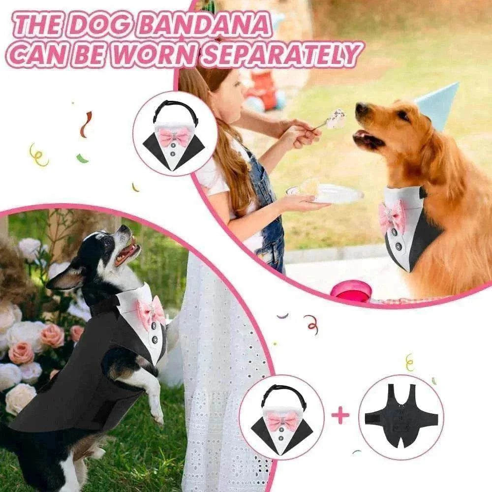 Tuxedo élégant pour grands chiens avec nœud papillon détachable, idéal mariage et cérémonies, confortable et ajustable