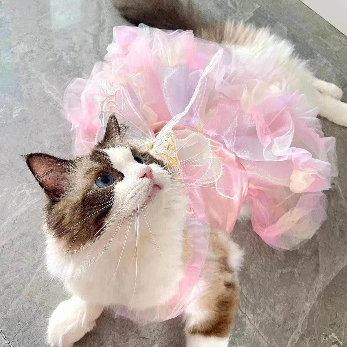 Chat portant une robe princesse rose en dentelle douce et soie élégante pour animaux de compagnie