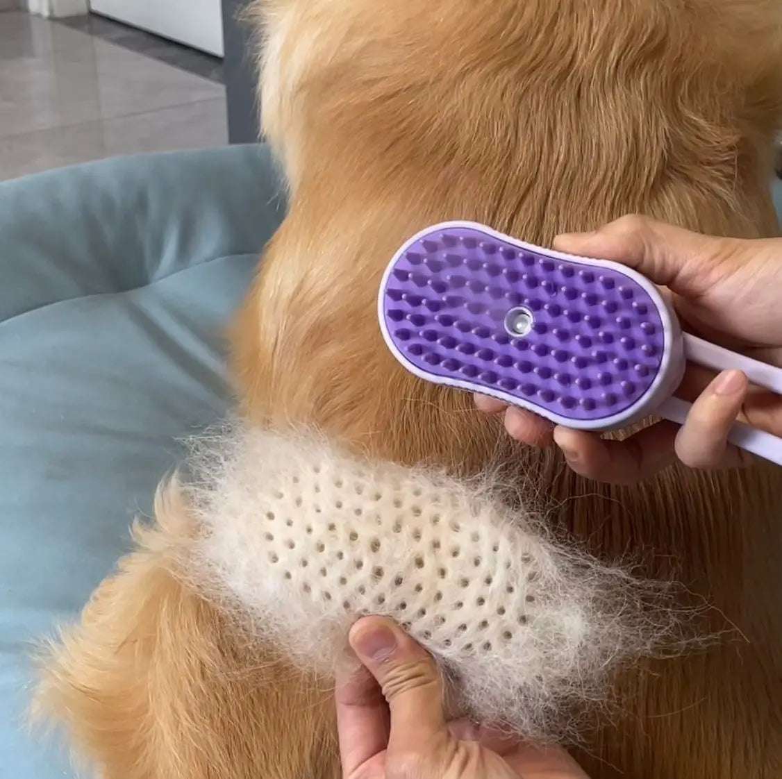 Brosse Électrique avec Spray Nouvelle Génération | Toilettage