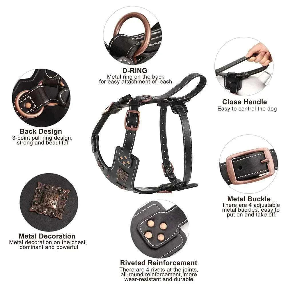 harnais en cuir véritable noir avec boucles métalliques robustes, rivets renforcés, poignée de contrôle et décoration métallique pour chiens moyens et grands