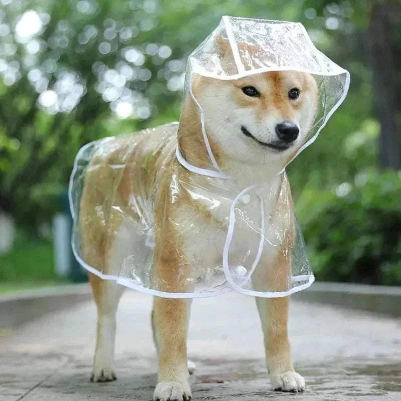 Imperméable Transparent à Capuche pour Petit Chien - Poncho PVC Souple, Léger & 100 % Imperméable