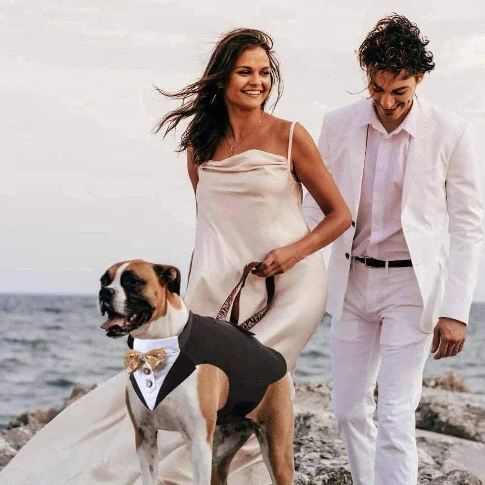 Chien de grande race portant un tuxedo noir élégant avec nœud papillon doré pour mariage, accompagné d'un couple habillé chic en blanc sur la plage.