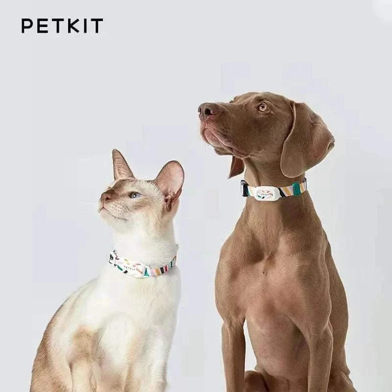 Collier connecté Bluetooth - suivi santé et bien-être animal