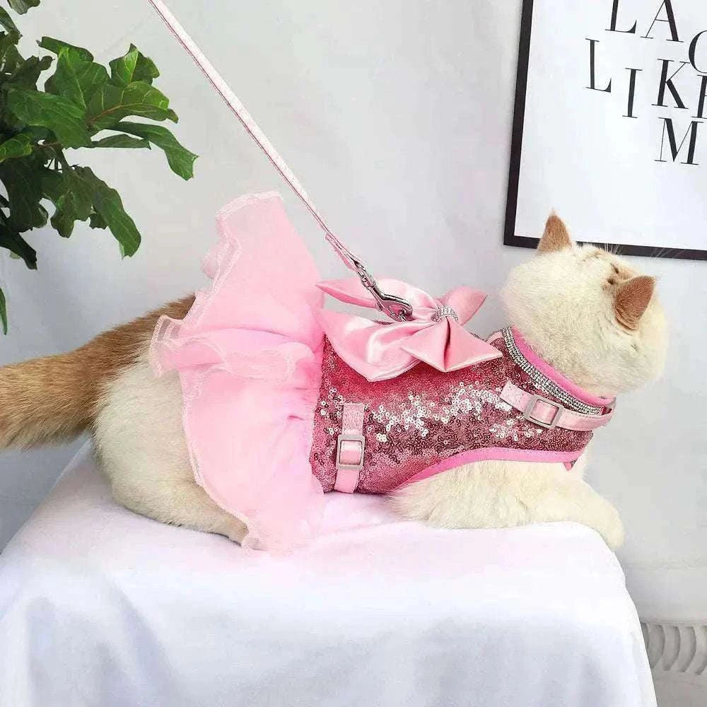 Harnais et Laisse - Élegant et Confortable pour Animaux - Ensemble