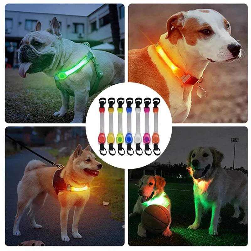 Barra de luz LED para collar o correa de perro