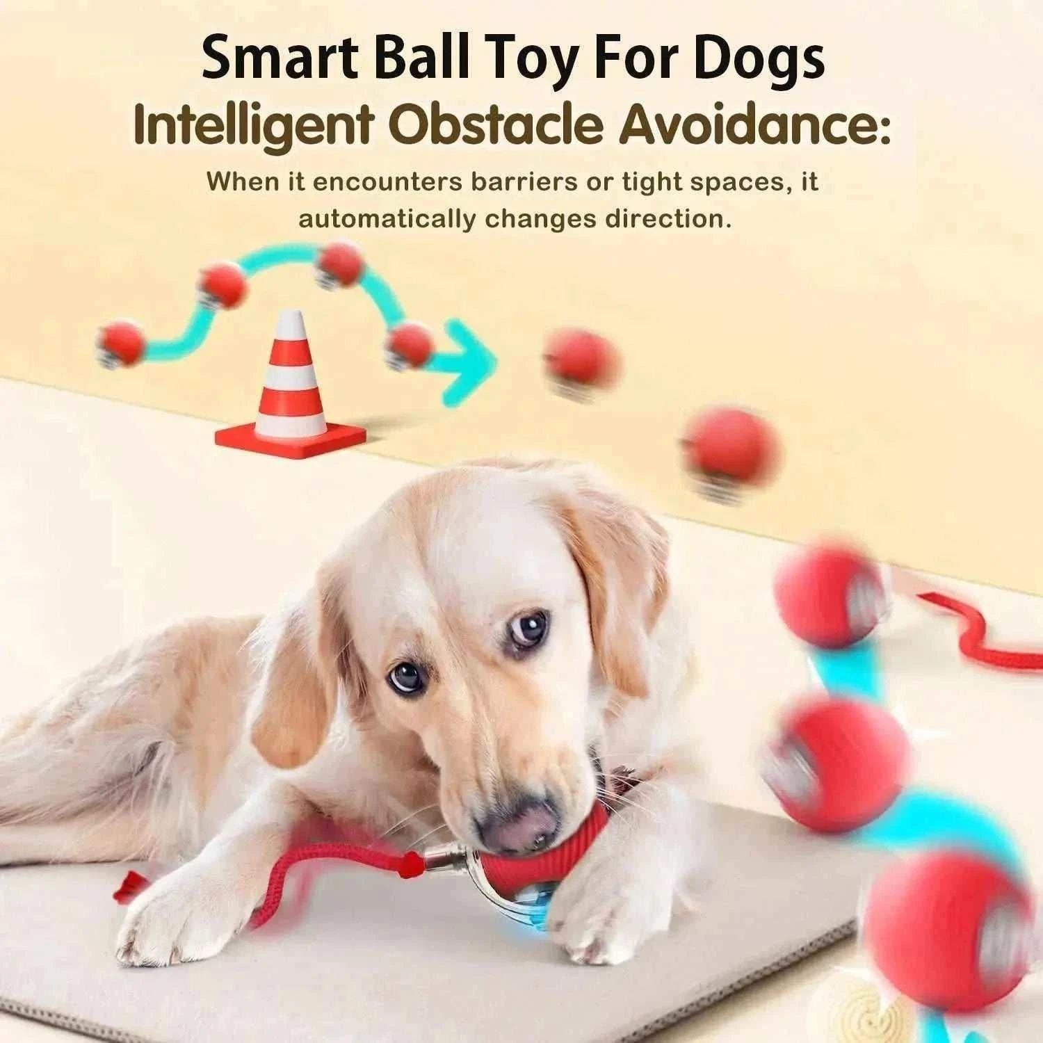 Balle de jeu automatique pour chiens actifs - stimulation et exercice