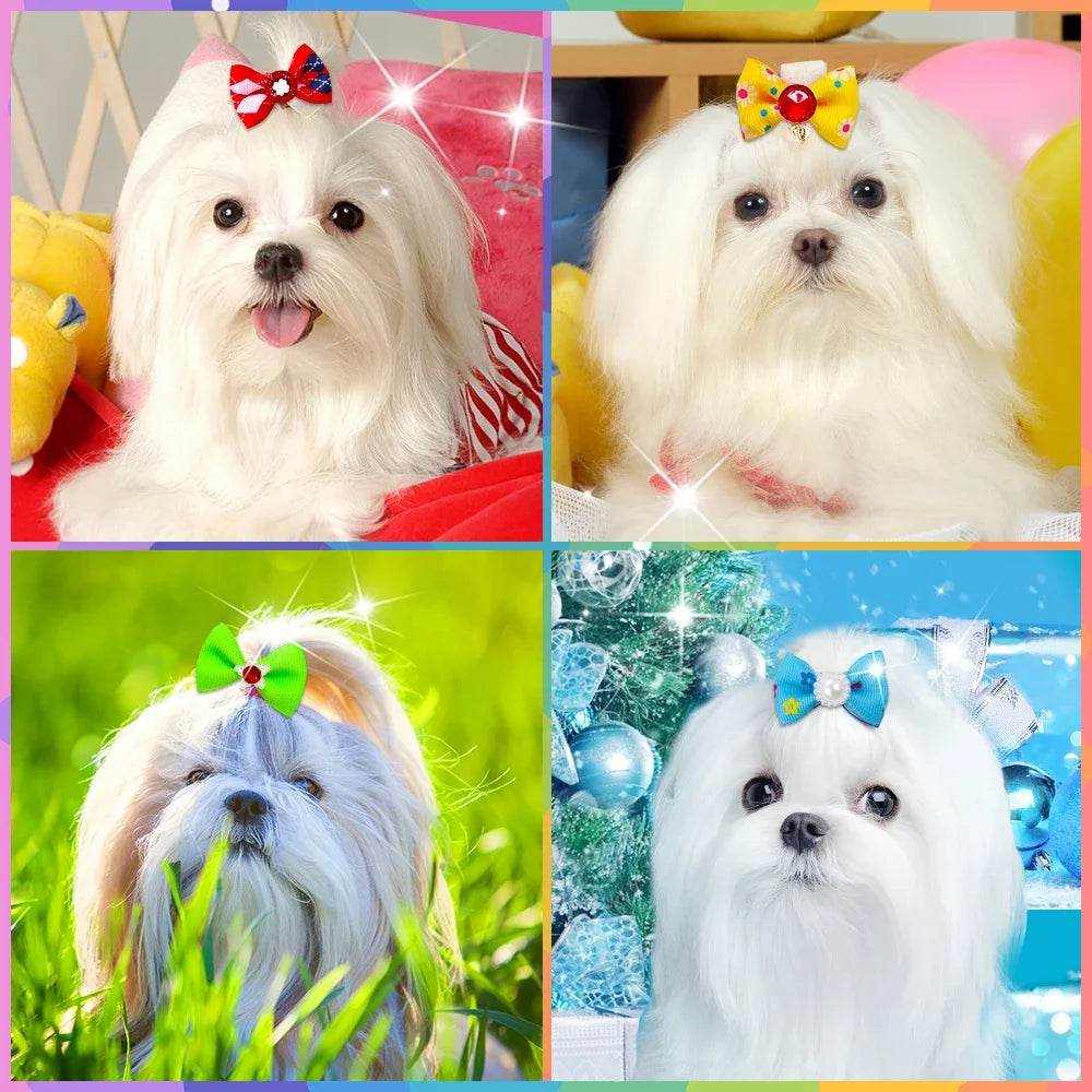 Nœuds pour Chiens - Lot de 20 Accessoires Élégants Toilettage