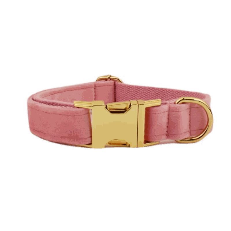 collier en velours rose pour chien avec fermeture dorée et anneau pour laisse, personnalisable et confortable pour chiens moyens et grands