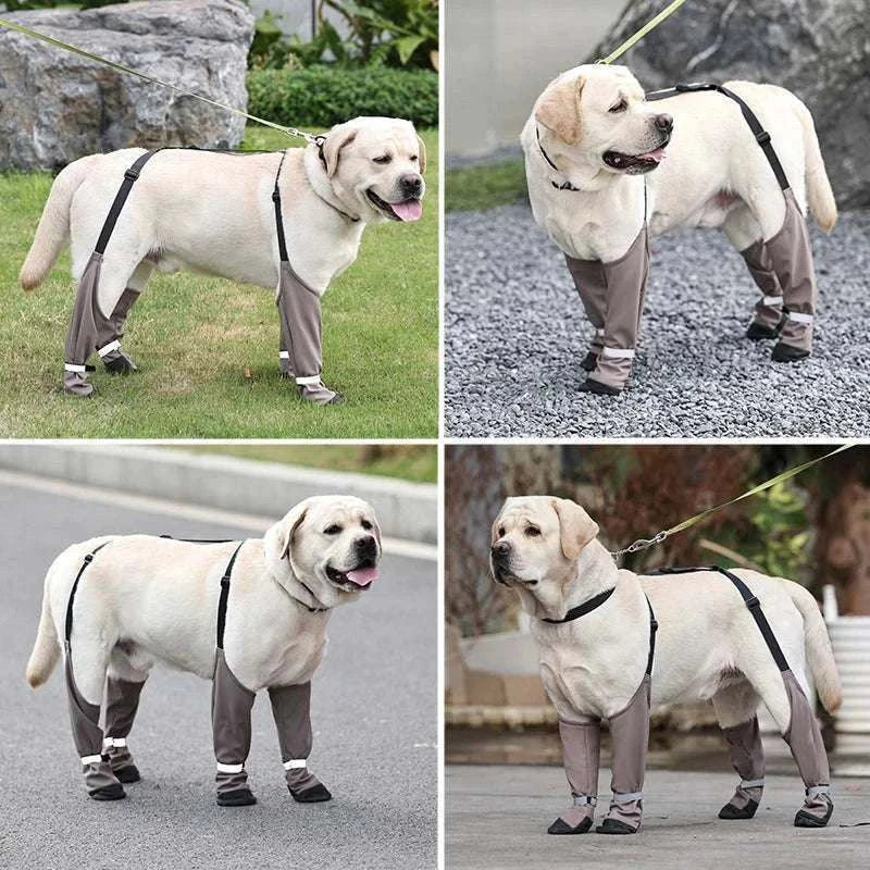 Bottes imperméables pour chiens | Protection, confort & style en promenade
