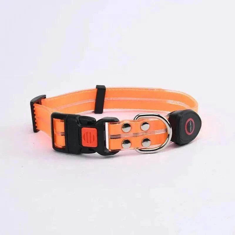 Collier LED lumineux orange pour chien, imperméable, rechargeable par USB, visibilité maximale pour sécurité nocturne