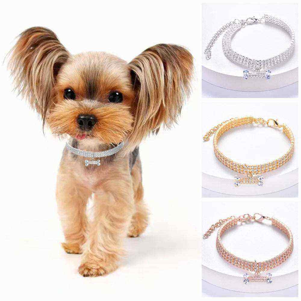Petit chien porte collier bijou luxe ajustable orné pendentif os zircon en cuivre plaqué couleurs or argent or rose