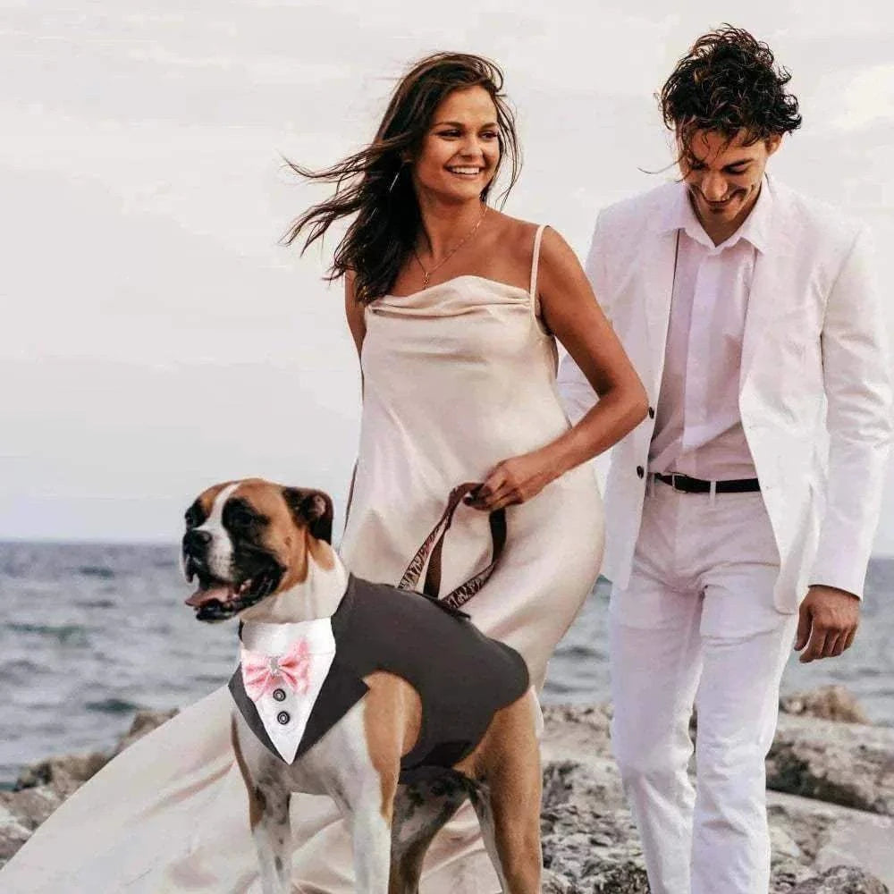 chien grand portant un tuxedo noir avec nœud papillon rose lors d'un mariage en bord de mer avec un couple habillé en blanc