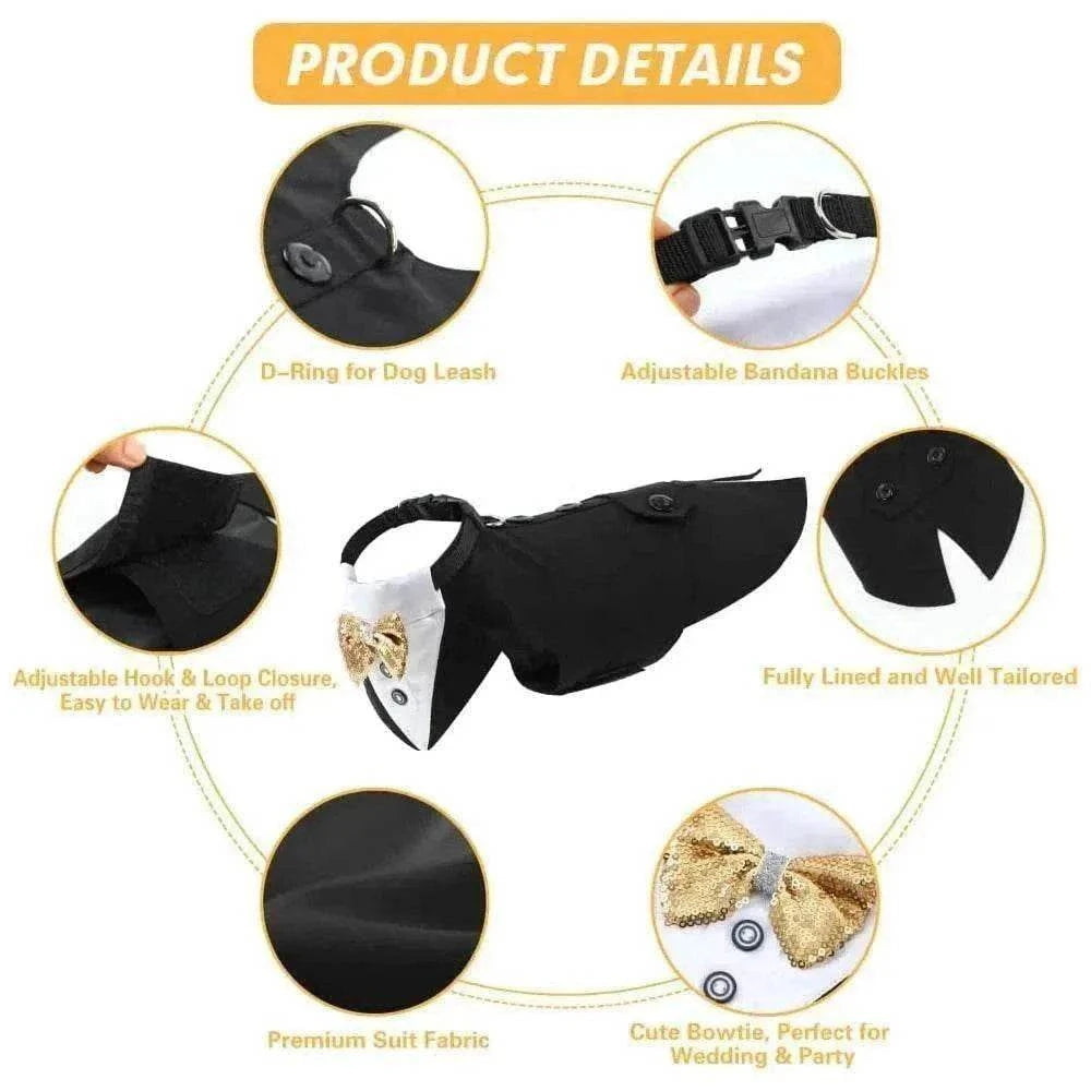 Costume de mariage noir pour grands chiens avec nœud papillon détachable et tissu premium confortable.