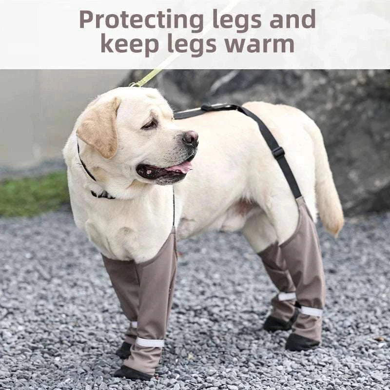 Bottes imperméables pour chiens | Protection, confort & style en promenade