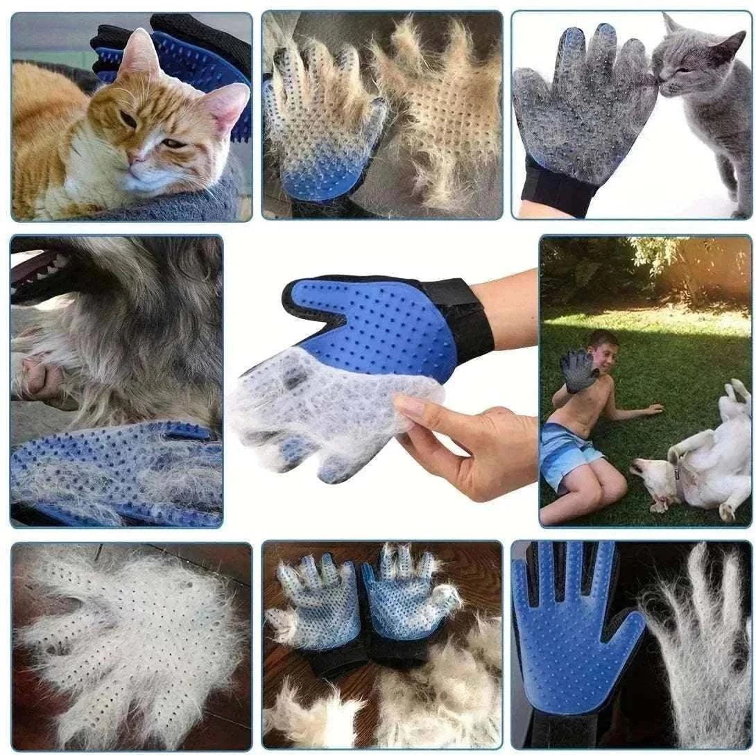 Gant de toilettage bleu et brosse en caoutchouc pour chien et chat, idéal pour bain, massage et élimination des poils morts.
