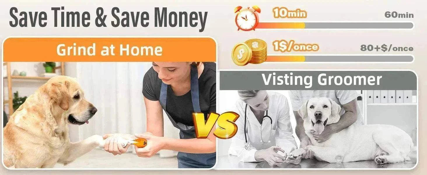 lime à ongles électrique pour chiens et chats avec 6 vitesses, silencieuse et rechargeable pour toilettage précis et sécurisé à domicile