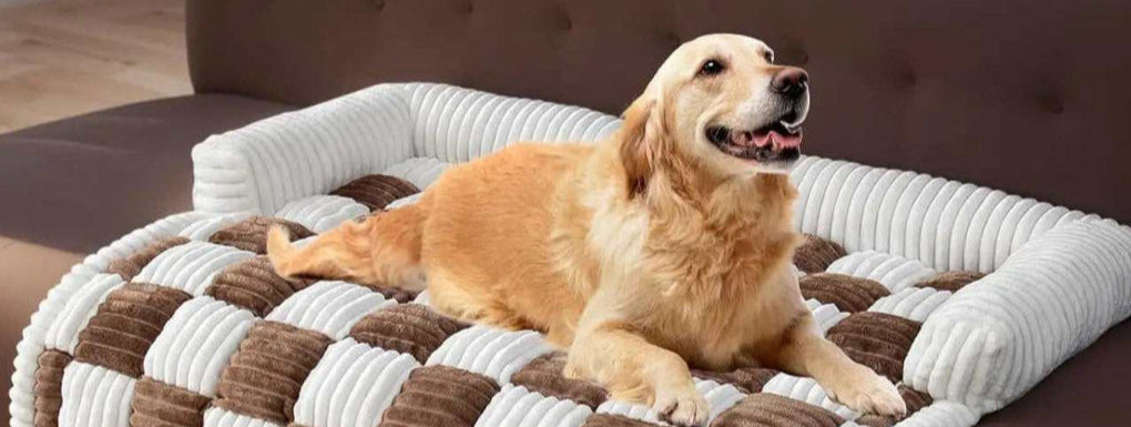 Un chien qui se détend sur le Tapis confortable carreaux pour chien.