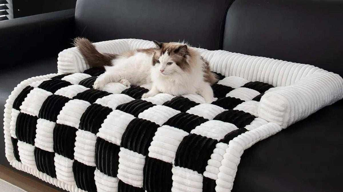 tapis à carreaux noir et blanc doux et rembourré pour chien avec bordure, posé sur canapé avec un chat blanc et beige allongé dessus