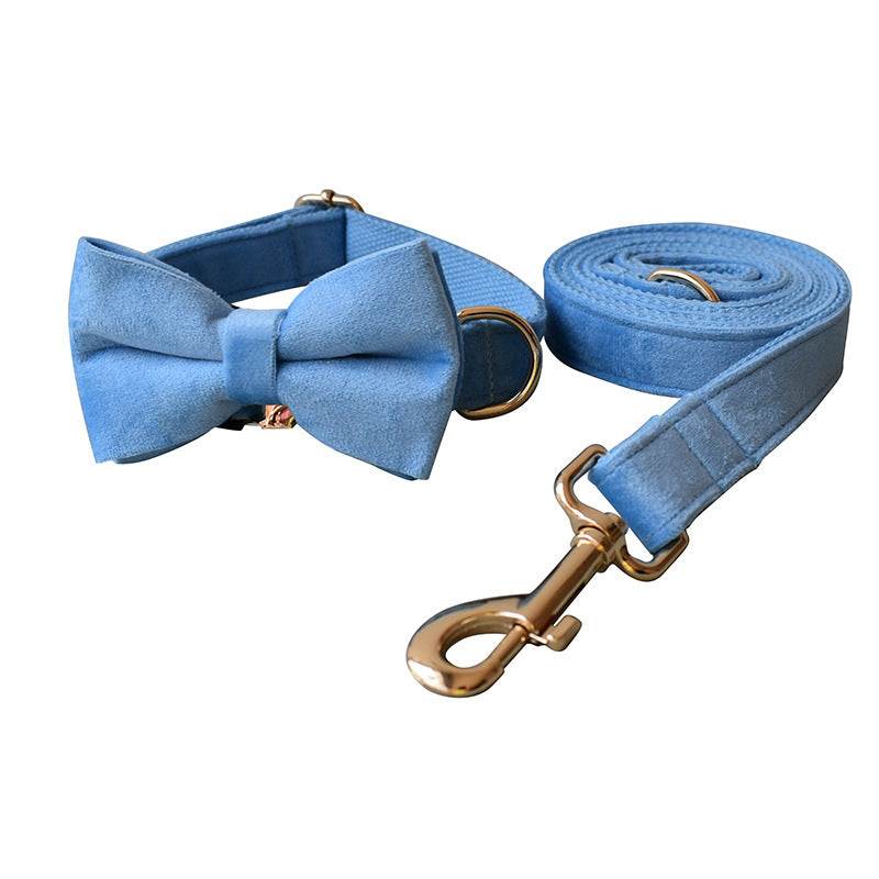 Collier velours bleu avec nœud papillon et laisse assortie, accessoires élégants pour animaux de compagnie.